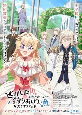 魔法少女小圆